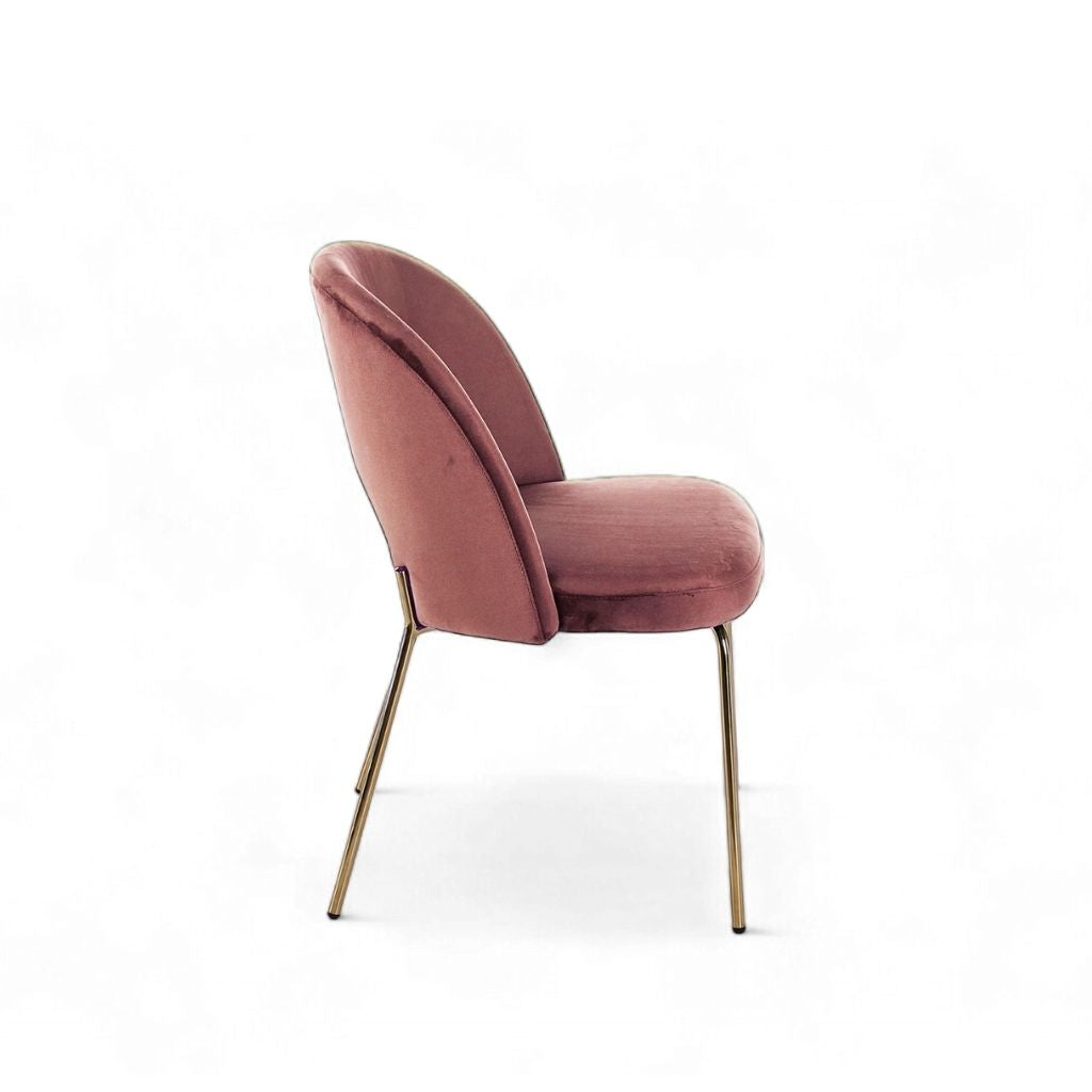 Petal Dining Chair (Gold Frame) Dusty Pink / ペタルダイニングチェア（ゴールドフレーム） ダスティピンク色