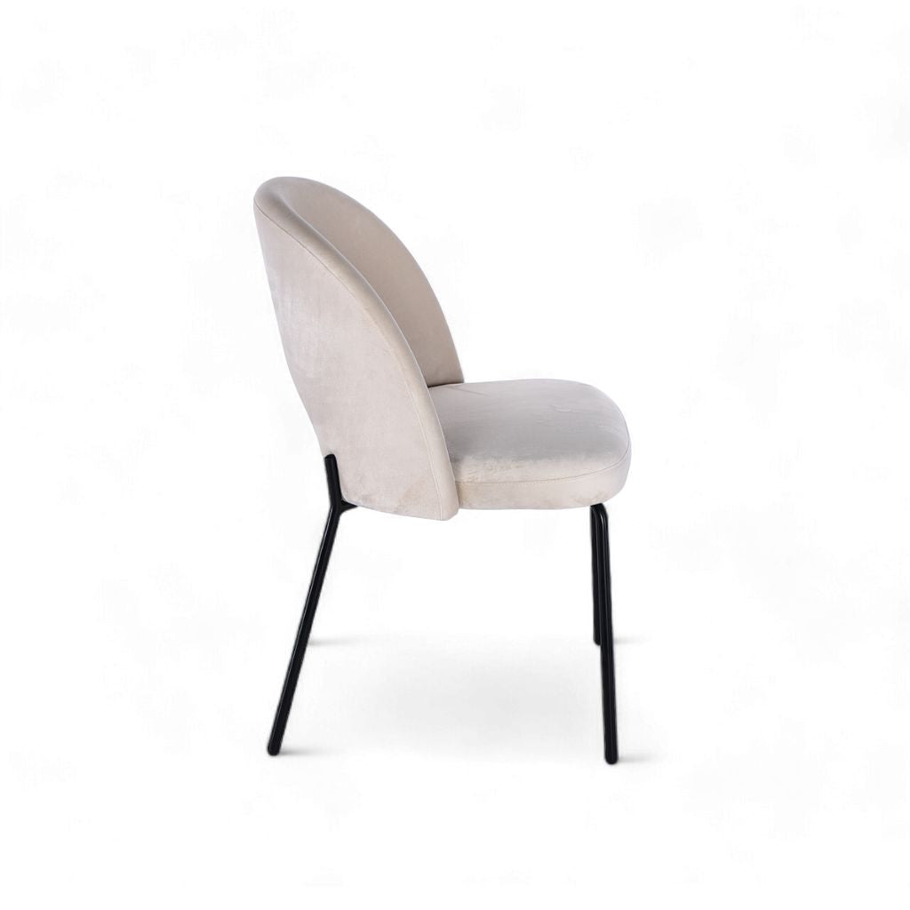 Petal Dining Chair (Black Frame) White Ivory / ペタルダイニングチェア（ブラックフレーム） ホワイトアイボリー色